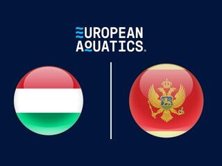 Водное поло. Чемпионат Европы. Мужчины. Венгрия - Черногория. Трансляция из Сербии