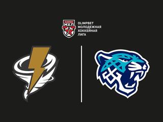 OLIMPBET Чемпионат МХЛ. "Тайфун" - "Снежные Барсы"