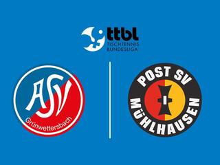 Настольный теннис Мужчины. Бундеслига. Регулярный сезон 2025/26. 12 тур. Грюнветтерсбах - Пост Мюльхаузен