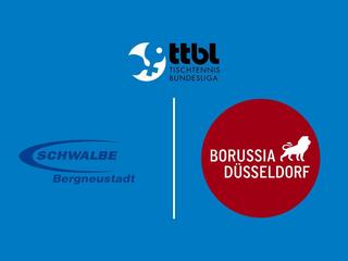 Настольный теннис Мужчины. Бундеслига. Регулярный сезон 2025/26. 12 тур. Швальбе Бергнойштадт - Боруссия Дюссельдорф