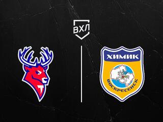 Хоккей. ВХЛ. Торпедо-Горький - Химик
