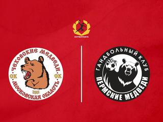 Гандбол. OLIMPBET Суперлига. Чеховские медведи - Пермские медведи. Мужчины