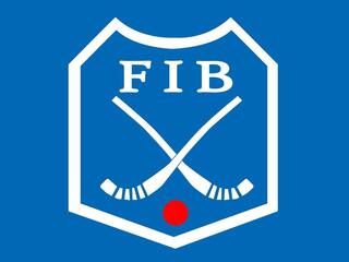 Бенди. Чемпионат мира 2026. Мужчины. Финал