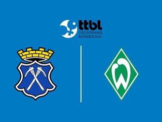 Настольный теннис Мужчины. Бундеслига. Регулярный сезон 2025/26. 13 тур. Бад Хомбург - Вердер Бремен