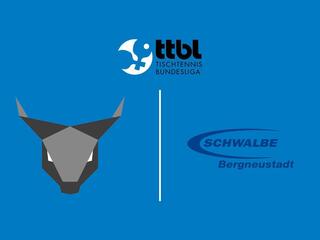 Настольный теннис Мужчины. Бундеслига. Регулярный сезон 2025/26. 13 тур. Оксенхаузен - Швальбе Бергнойштадт