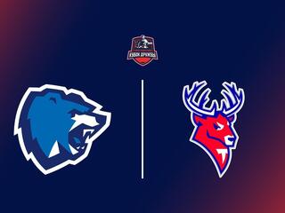 Хоккей. Евро-Азиатский Кубок Дружбы. Финал. "Витебск" (Белоруссия) - "Торпедо-Горький" (Россия). Трансляция из Белоруссии