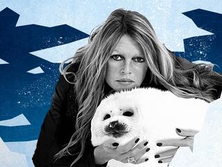 Брижит Бардо: клятва, данная животным