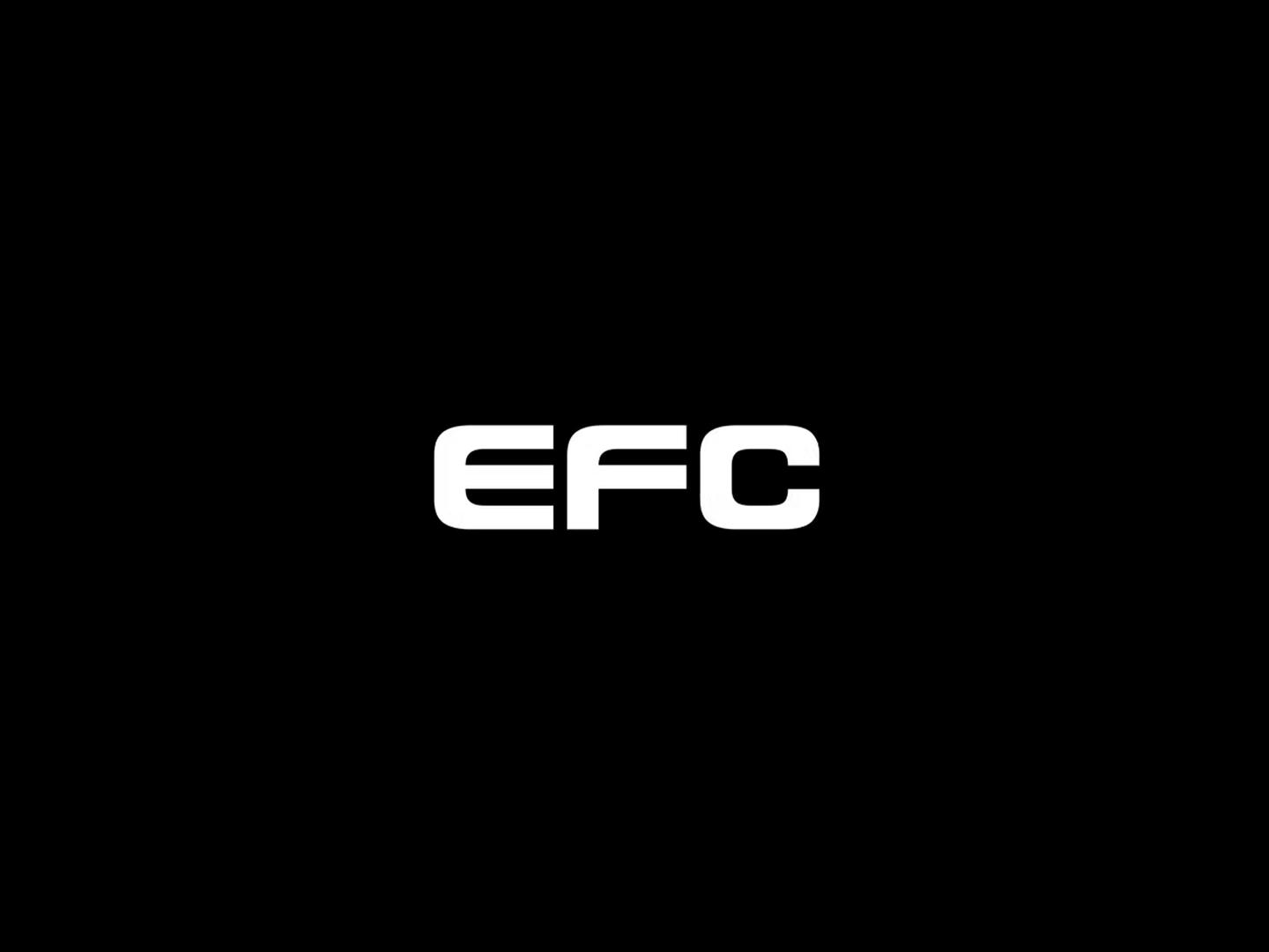 EFC 128. Смешанные единоборства (ЮАР)
