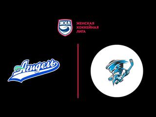 Хоккей. ЖХЛ. Яркий матч. Агидель - Торнадо