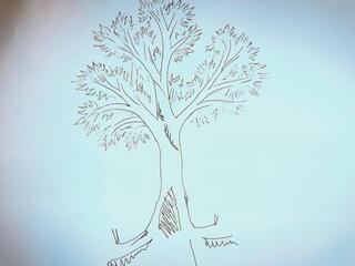 Дерево твоей силы