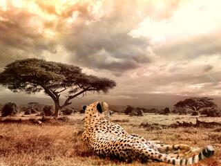 Жизнь в замедленной съемке