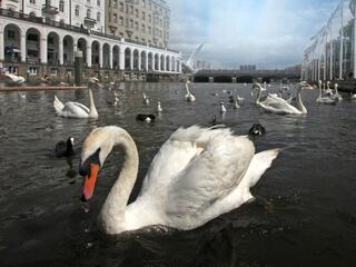 Реки: источник силы