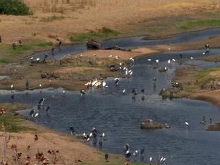 Пережить засуху