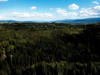 Кузбасская голгофа