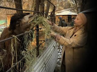 Зоопарки мира