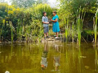 Красота в глазах смотрящего