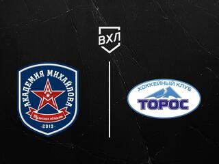 Хоккей. ВХЛ. АКМ - Торос