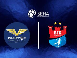 Гандбол. SEHA Газпром Лига. Виктор - Мешков Брест