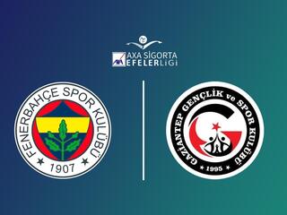 Волейбол. Чемпионат Турции. Мужчины. Фенербахче - Газиантеп