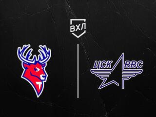 Хоккей. ВХЛ. Торпедо-Горький - ЦСК ВВС