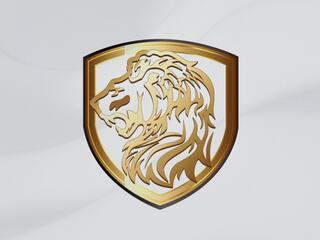 Шамо боксинг. Часть 1-я