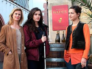 Винодельня Вадера