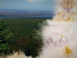 Тайны Большехехцирского заповедника