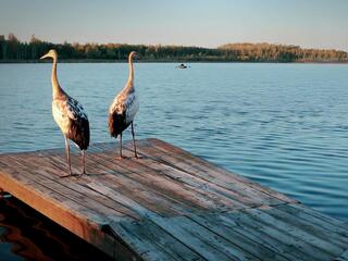 Тайны Хинганского заповедника