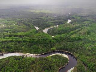 Тайны Керженского заповедника