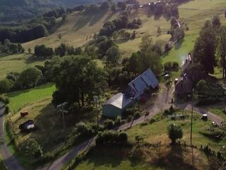 Куда улетели ласточки?