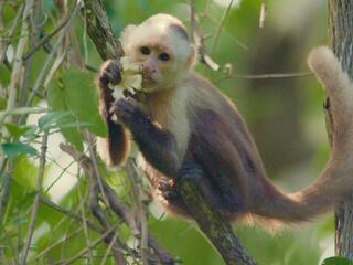 Парк Тайрона - тропический рай на Карибах