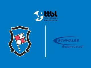 Настольный теннис Мужчины. Бундеслига. Регулярный сезон 2025/26. 18 тур. Бад Кёнигсхофен - Швальбе Бергнойштадт