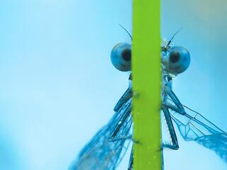 Меня приводит в движение свет