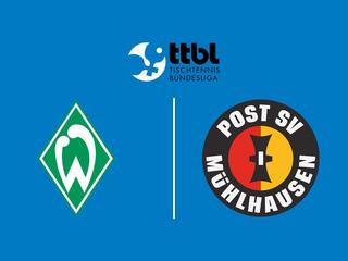 Настольный теннис Мужчины. Бундеслига. Регулярный сезон 2025/26. 18 тур. Вердер Бремен - Пост Мюльхаузен