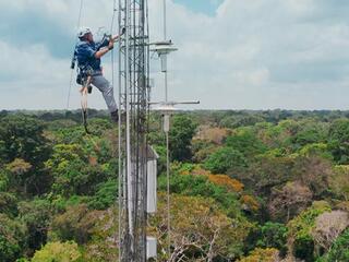 Реки над лесами