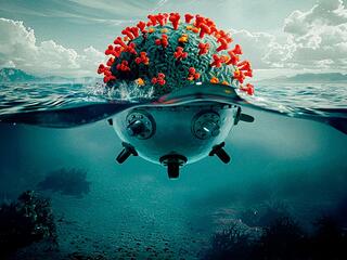 Вирус X: найти и обезвредить