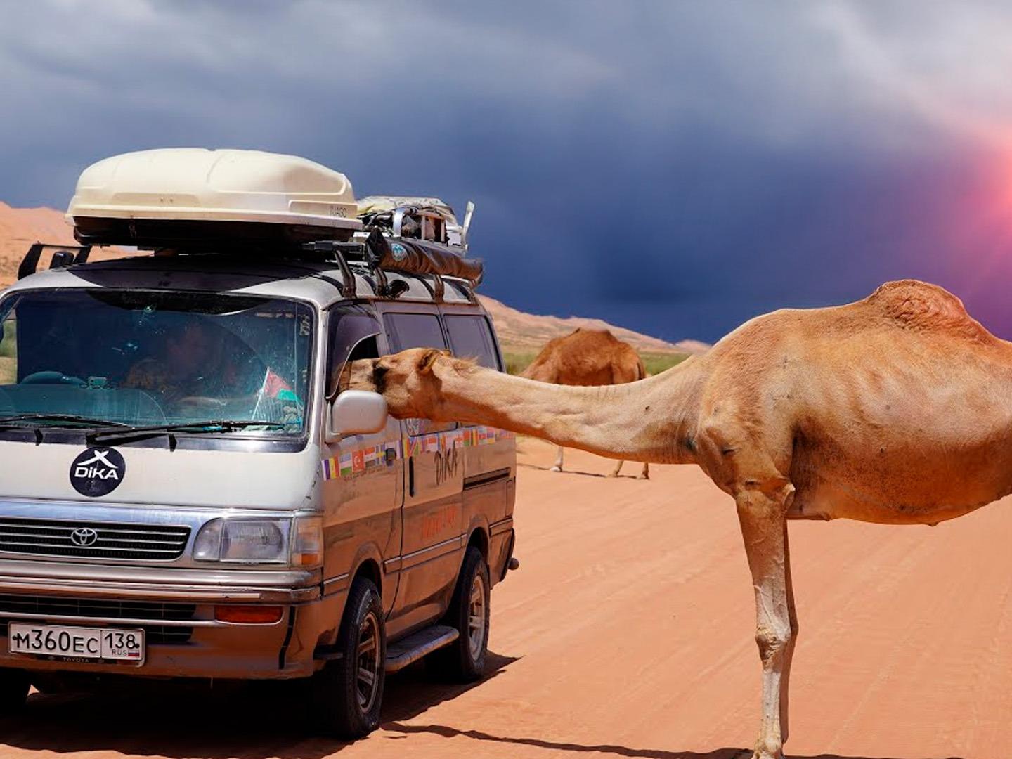 Объединённые Арабские Эмираты и Оман. Дика Денис и Алёна