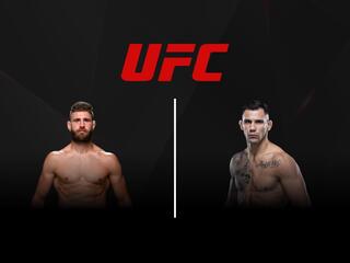 Смешанные единоборства. UFC. Иржи Прохазка против Александра Ракича. Трансляция из США