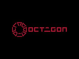 Шоу Octagon 29 (MMA, профессионалы)
