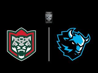 Фонбет Чемпионат КХЛ. Плей-офф. 1/4 финала. «Ак Барс» - «Динамо» (Минск). 3-й матч