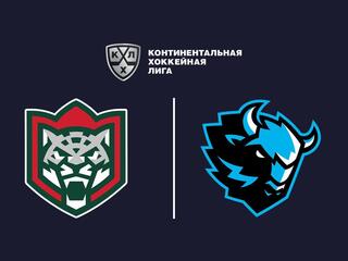 Хоккей. Кубок Гагарина. Игры серии play-off. «Ак Барс» - «Динамо» (Минск)
