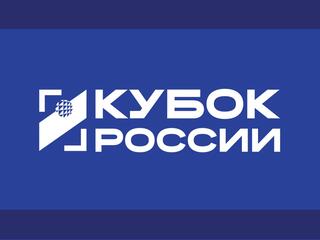 Волейбол. Кубок России. Финал шести. Полуфинал 2. Мужчины