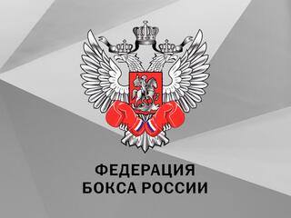 Бокс. Первенство России. Финал