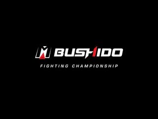 Турнир Bushido Fighting Championship Featherweight Grand Prix 2020 (MMA, кикбоксинг и бокс -профессионалы). Алматы (Казахстан)