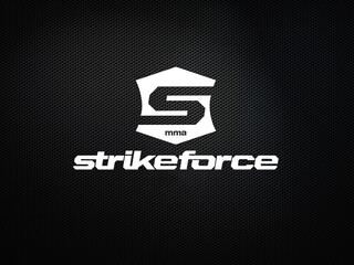 Strikeforce. Гран-при тяжеловесов