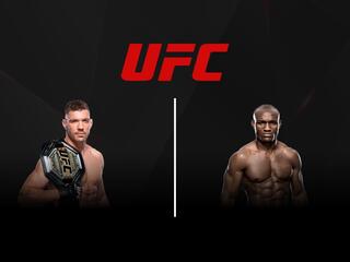 Смешанные единоборства. UFC. Дрикус Дю Плесси против Камару Усмана. Трансляция из США