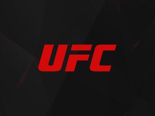 Смешанные единоборства. UFC 330. Ислам Махачев против Иэна Мачадо Гэрри. Маккензи Дёрн против Джиллиан Робертсон. Трансляция из США