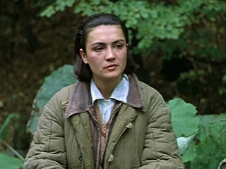 Карпатское золото