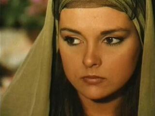 Королёк-птичка певчая