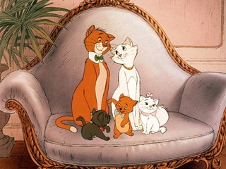 Коты-аристократы